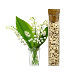 Pure Air duftkugler til stvsugeren - vlg duft